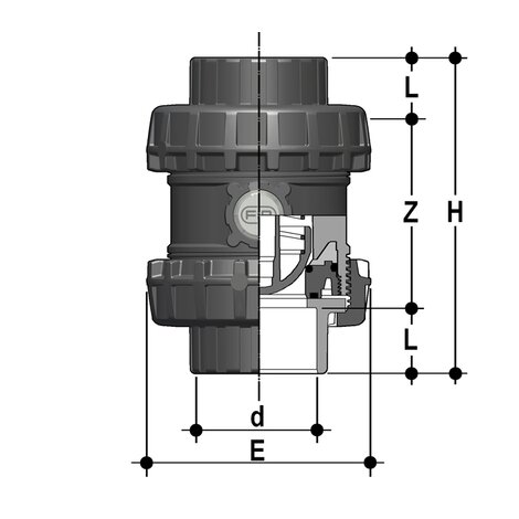 SSEAV/PTFE - Easyfit True Union ball and spring check valve DN 65:100