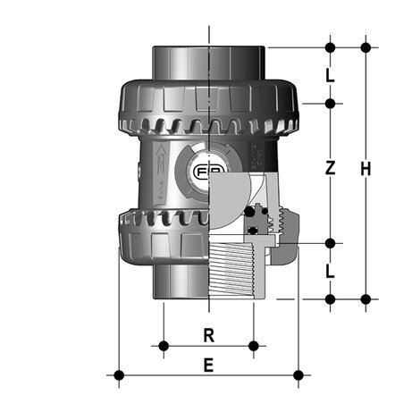 SXENV - Easyfit True Union ball and spring check valve