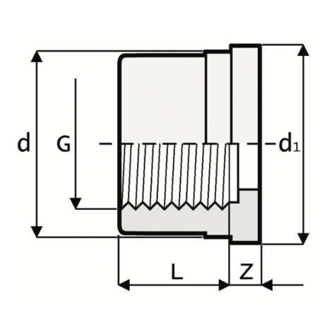 BL2 - Union end with BSP female thread