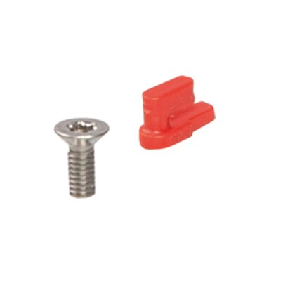 Anti-vandal screw and lock pin