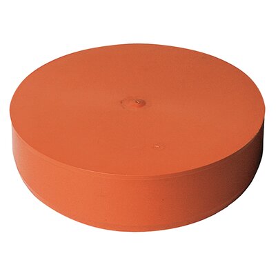 Female blanking cap