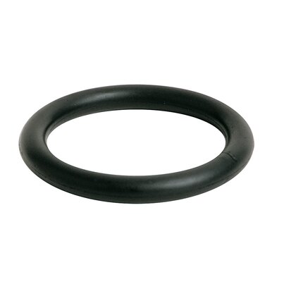 Oring replacement