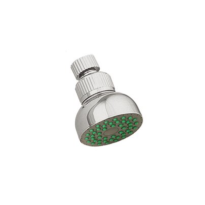 1 function showerhead