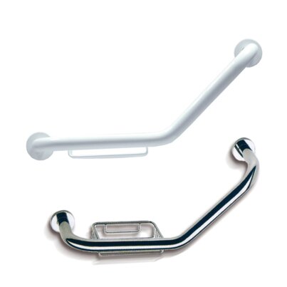 Stainless steel grab bar
